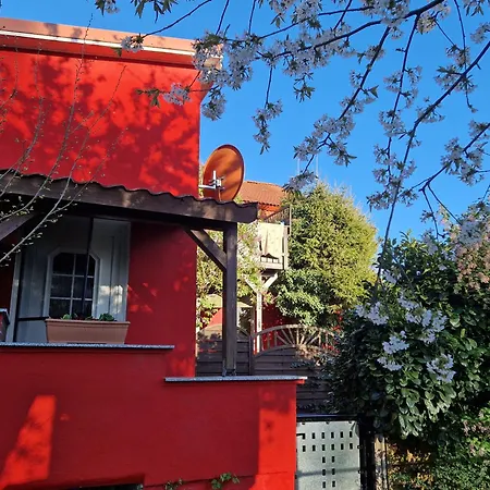 In Der Vinetastadt *