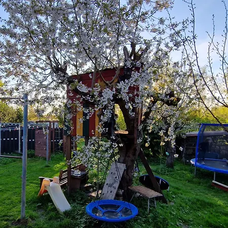 In Der Vinetastadt بارث