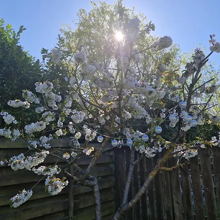 In Der Vinetastadt شقة *
