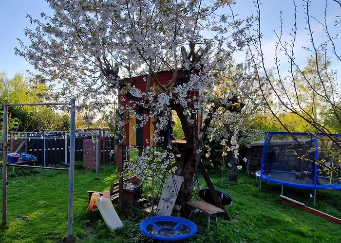 In Der Vinetastadt 바르트