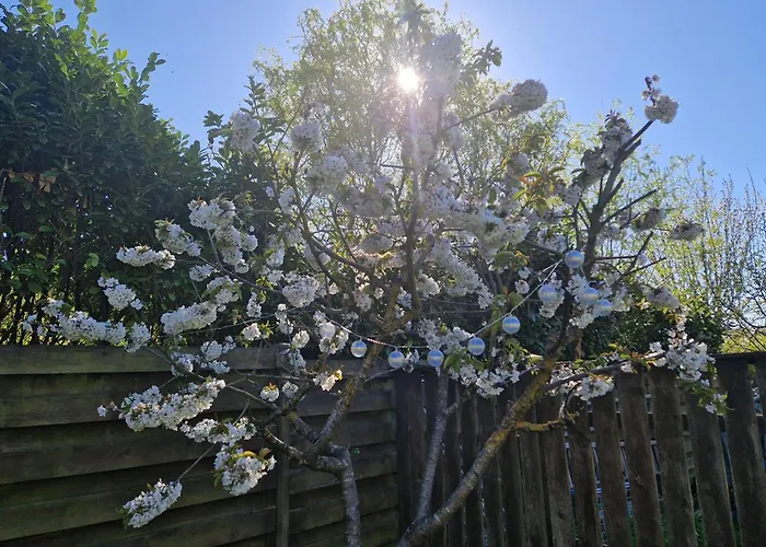 In Der Vinetastadt Lägenhet *